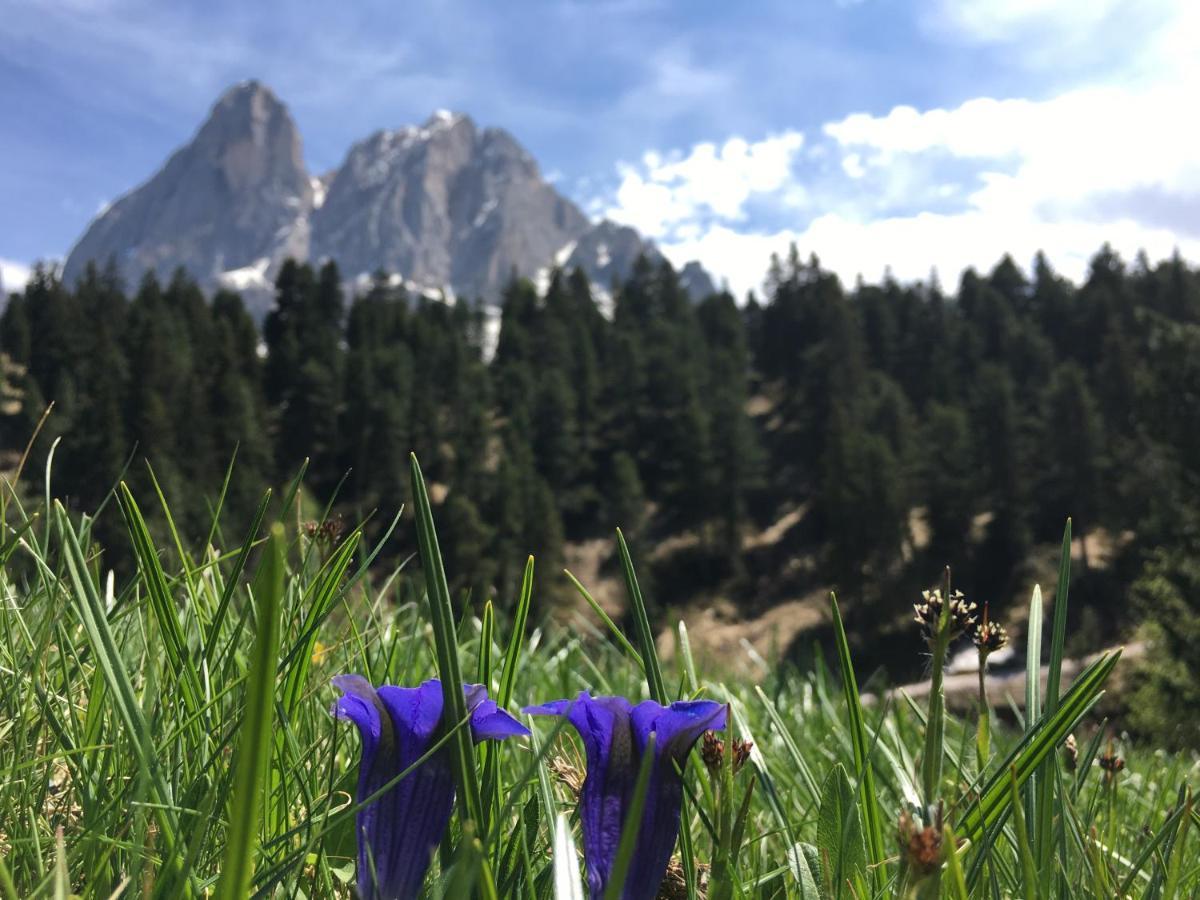 Agriturism Gscnara *